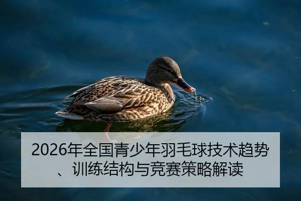 nian-quan-guo-qing-shao-nian-yu-mao-qiu-ji-shu-qu-shi-xun-lian-jie-gou-yu-jing-sai-ce-lve-jie-du-2-561.jpg